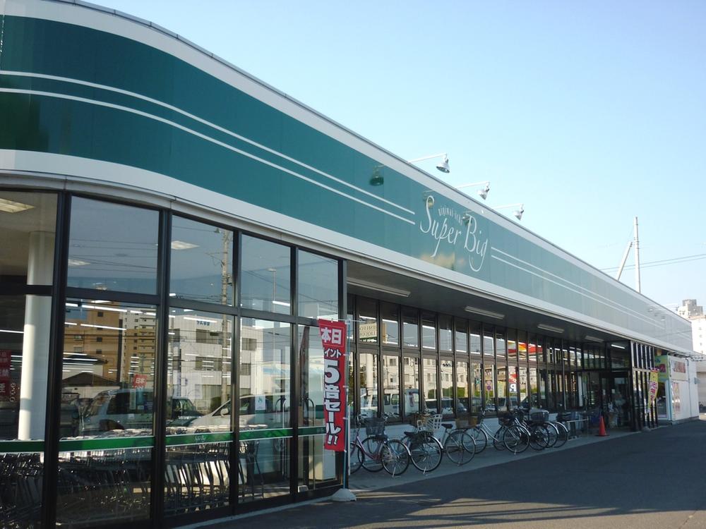 Supermarket. 1900m up to super big six furlongs of the eye shop