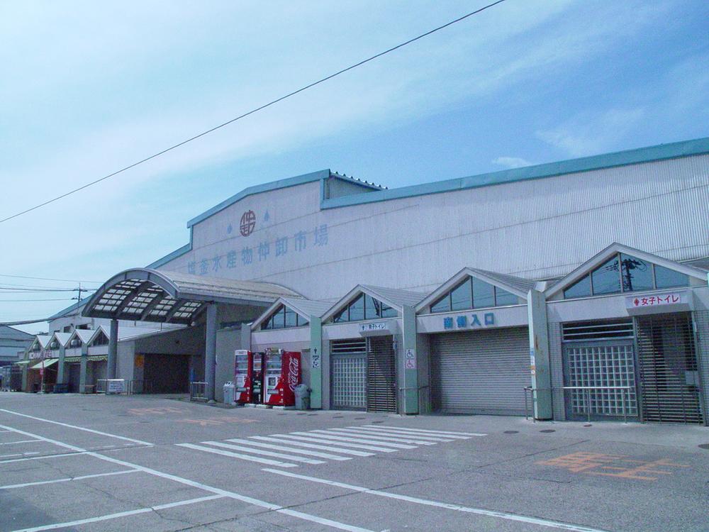 Other. Surrounding environment