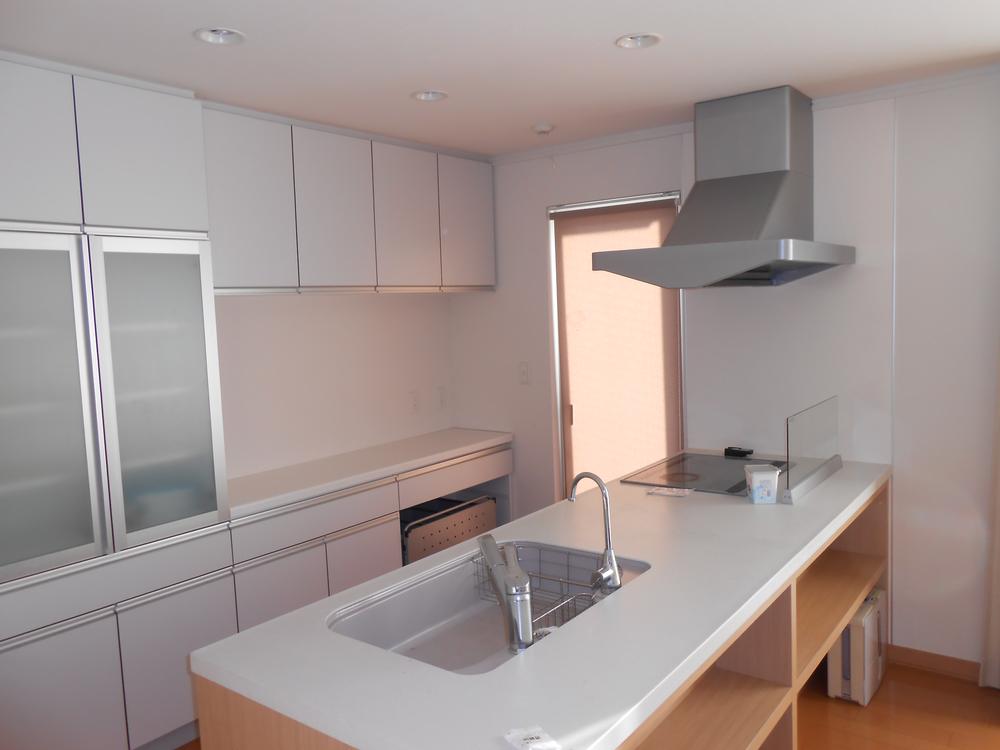 Kitchen. Indoor (February 15, 2013) Shooting