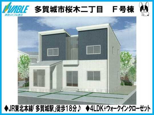 Local appearance photo. Appearance scheduled for completion view