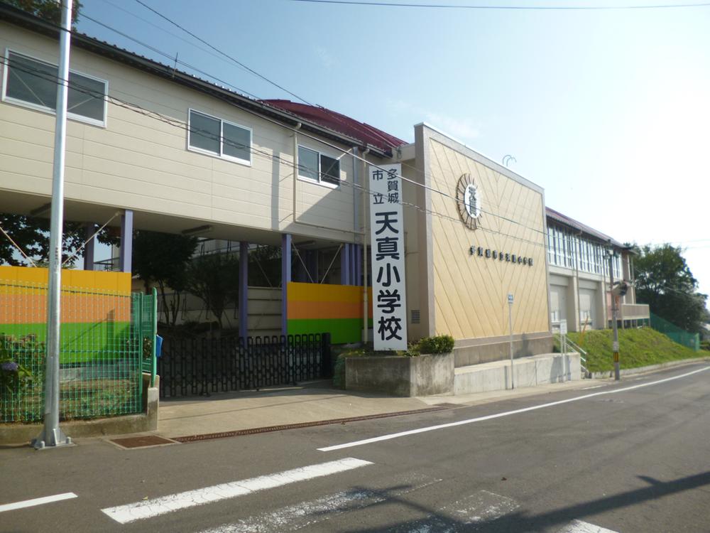 Primary school. Tagajo standing balance staff to elementary school 1176m