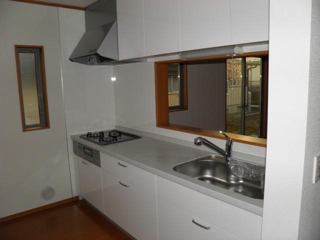 Kitchen. Indoor (11 May 2013) Shooting