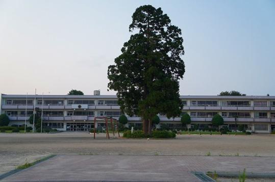 Other. Watari Elementary School Walk 24 minutes (about 1880m)