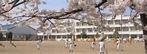 Junior high school. Watari Municipal Okuma until junior high school 1547m