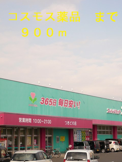 Dorakkusutoa. 900m until the cosmos chemicals (drugstore)