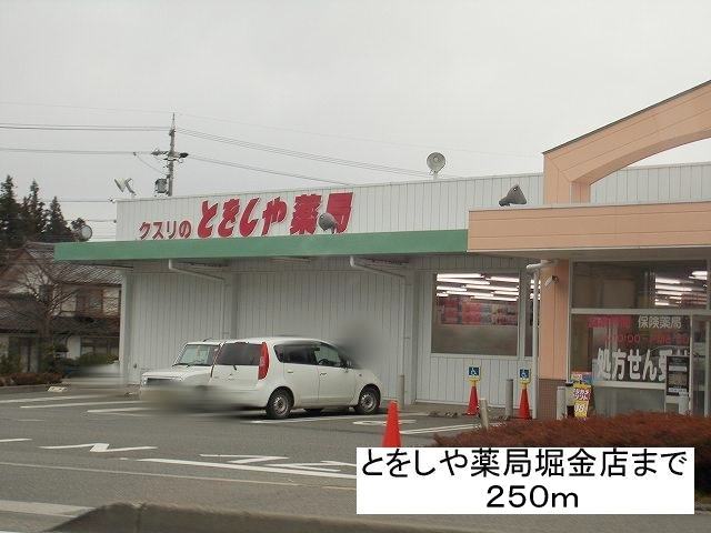 Dorakkusutoa. Tooshi and pharmacies Horigane shop 250m until (drugstore)