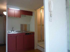 Kitchen. Widely it is beautiful