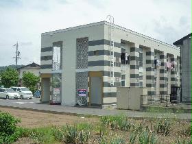 Other. It is a fashionable appearance in which the white tones