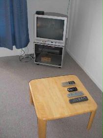 Living and room. Carpeted bright room in the