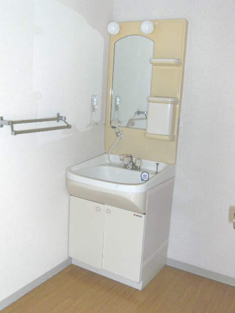 Washroom. Shampoo dresser
