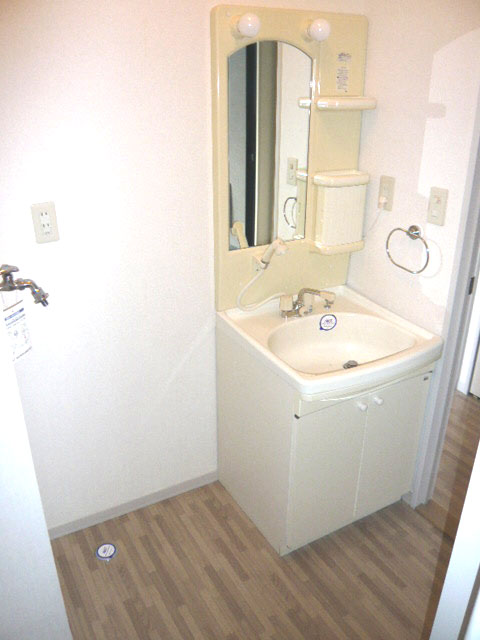 Washroom. Shampoo dresser