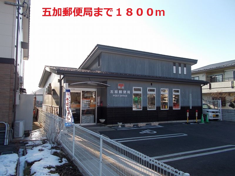 post office. Acanthopanax post office-like until the (post office) 1800m