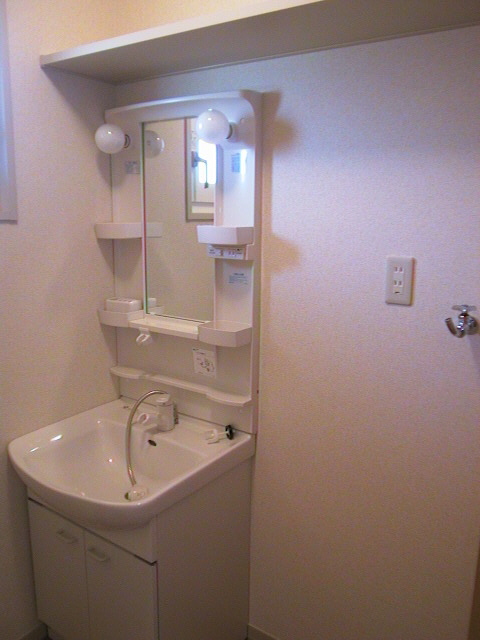 Washroom. Shampoo dresser