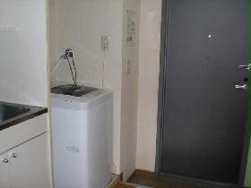 Other. It is with fully automatic washing machine