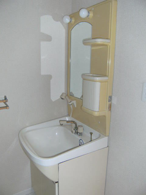 Washroom. Shampoo dresser