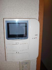 Other. Face-to-face monitor with intercom complete peace of mind