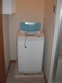 Other. Also it comes with a washing machine.