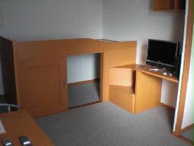 Living and room. Under the bed can be stored.