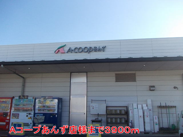 Supermarket. 3900m to A Co-op apricot (super)