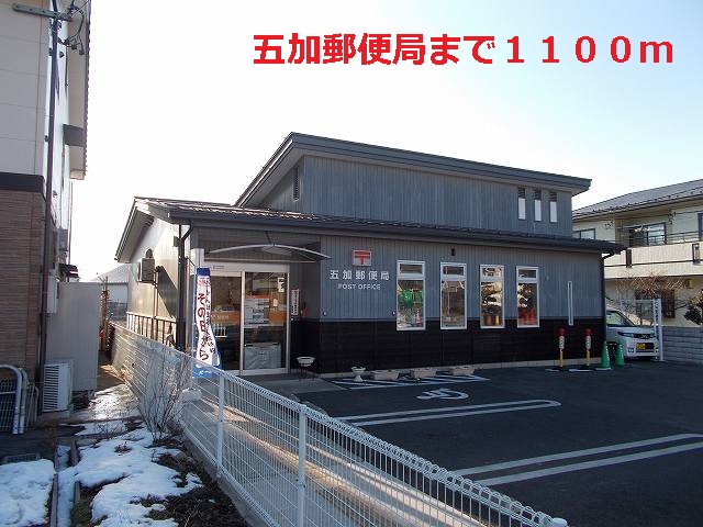 post office. Acanthopanax post office until the (post office) 1100m