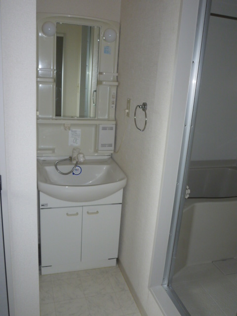 Washroom. Shampoo dresser