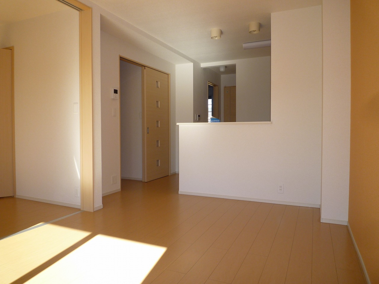 Living and room. Inverted type (Room 201)