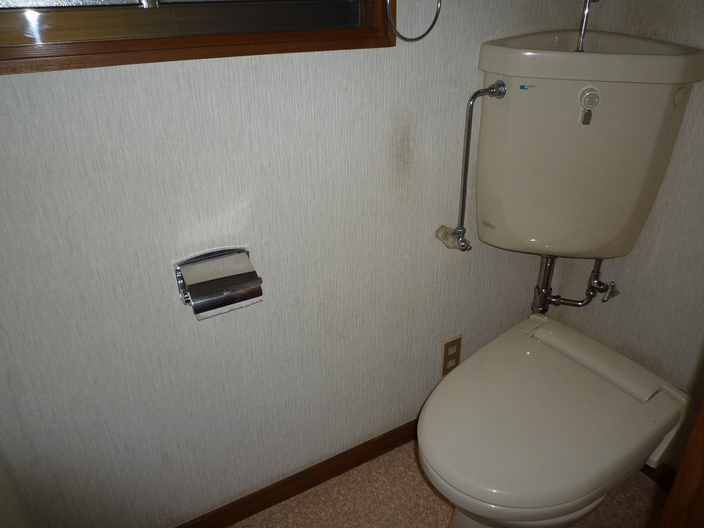 Toilet