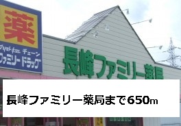 Dorakkusutoa. Nagamine family pharmacy 650m to (drugstore)