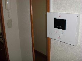 Other. Home security