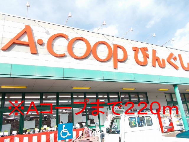 Supermarket. A Coop Bing to shop until the (super) 220m