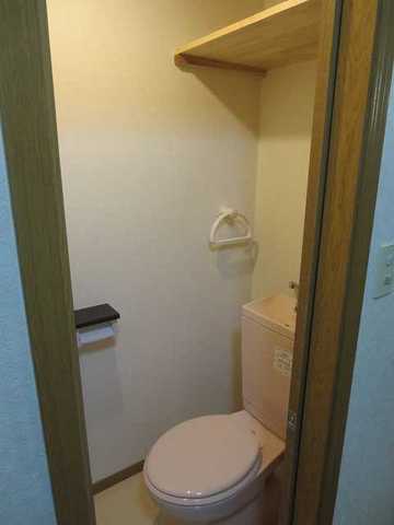 Toilet. There shower toilet