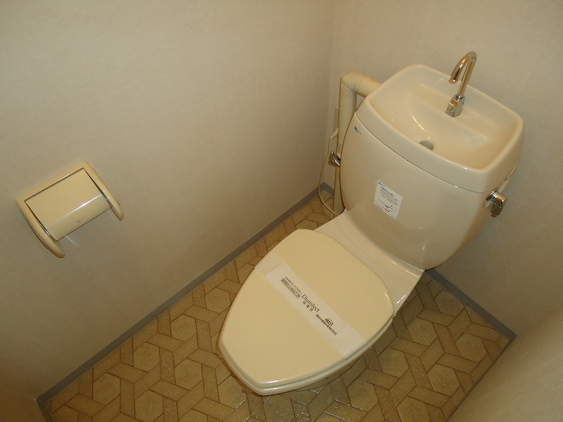 Toilet