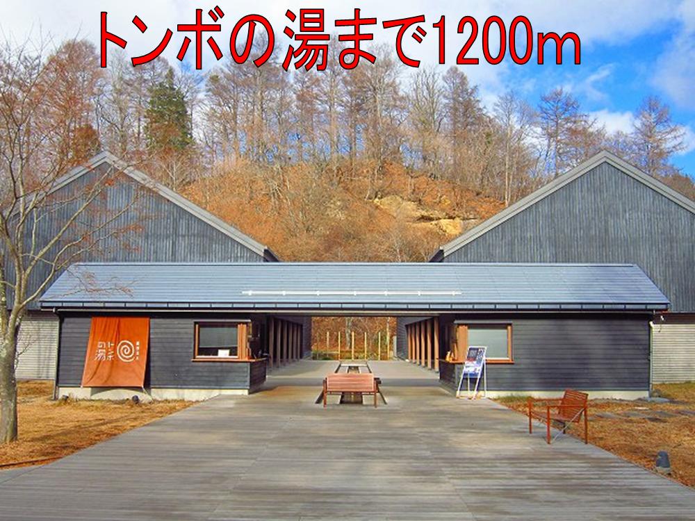 Other. 1200m until the dragonfly of hot water (Other)