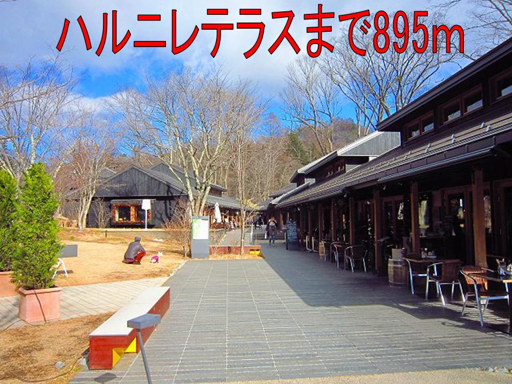 Other. 895m until elm terrace (Other)