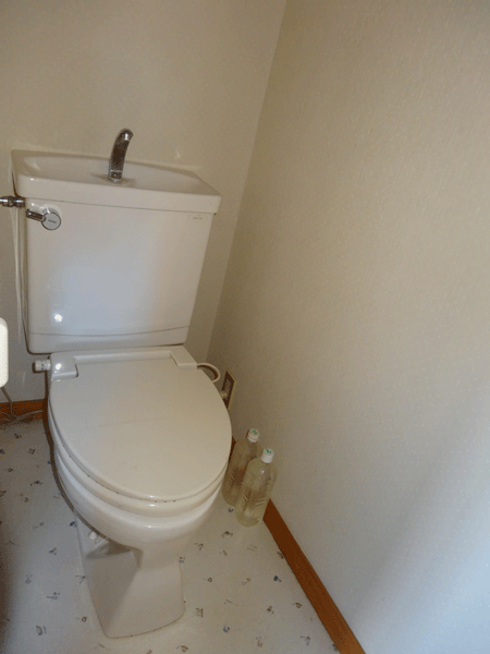 Nagano Prefecture Kitasaku-gun Karuizawa Oaza Nagakura Kariyado