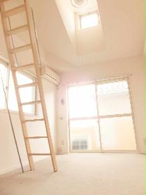 Other. The second floor is equipped with a skylight