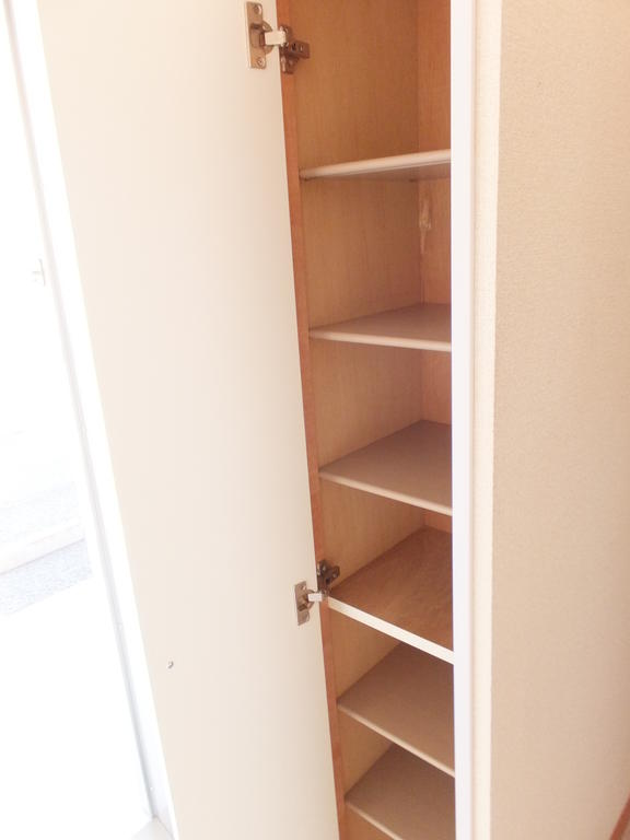 Other. Shoe box