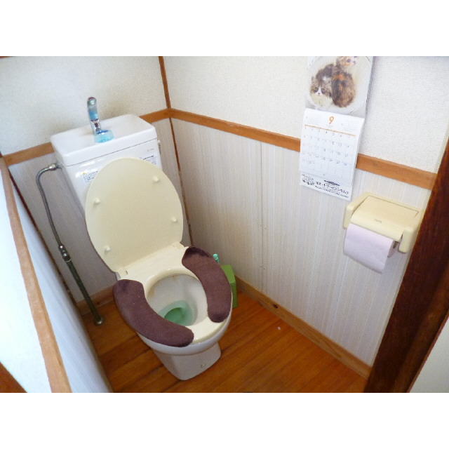 Toilet. Common use