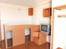 Other. TV is different types according to the room