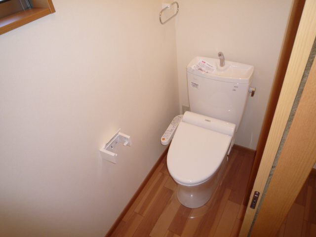 Washroom. Shower toilet