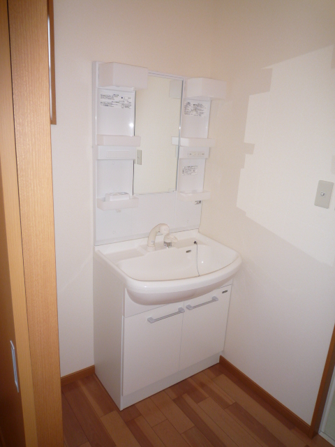 Washroom. Shampoo dresser