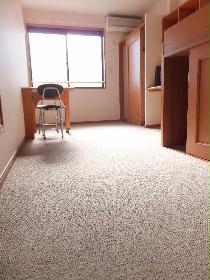 Living and room. First floor flooring The second floor above the carpet