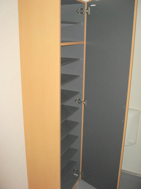 Entrance. Shoe box