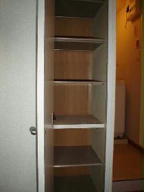 Entrance. Shoe box