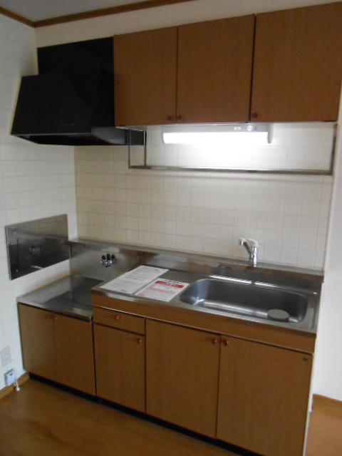 Kitchen. Gas stove (2 burners) corresponding