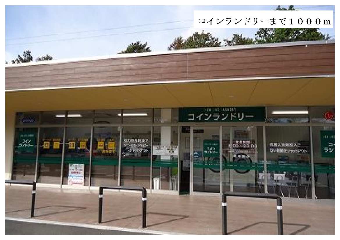 Other. 1000m until the coin-operated laundry (Other)