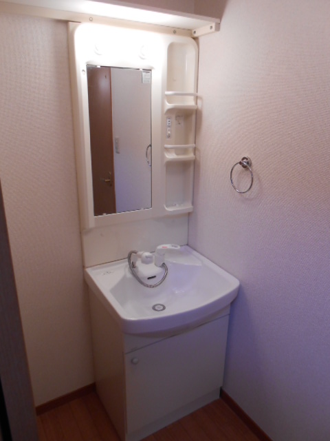 Washroom. Vanity equipped with a shower