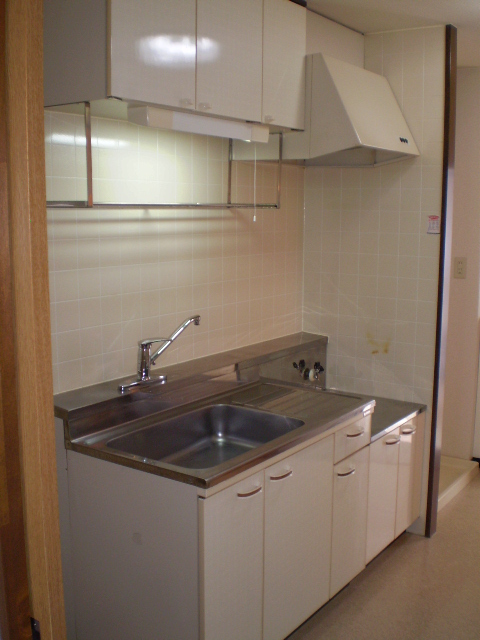 Kitchen. Gas stove (2 burners) corresponding