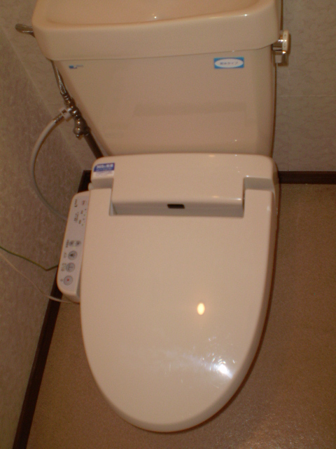 Toilet. Washlet (new)