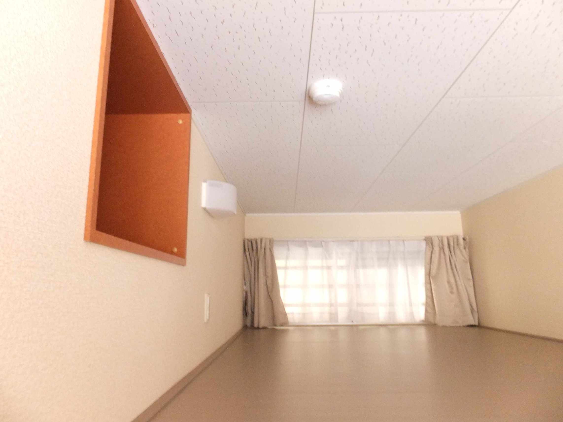 Living and room. With loft